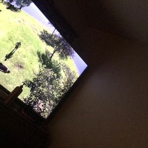 Meet your Posher, Leonard